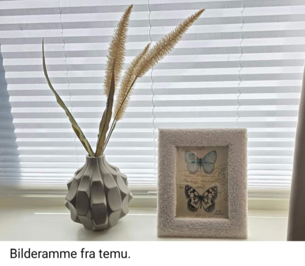 temu3